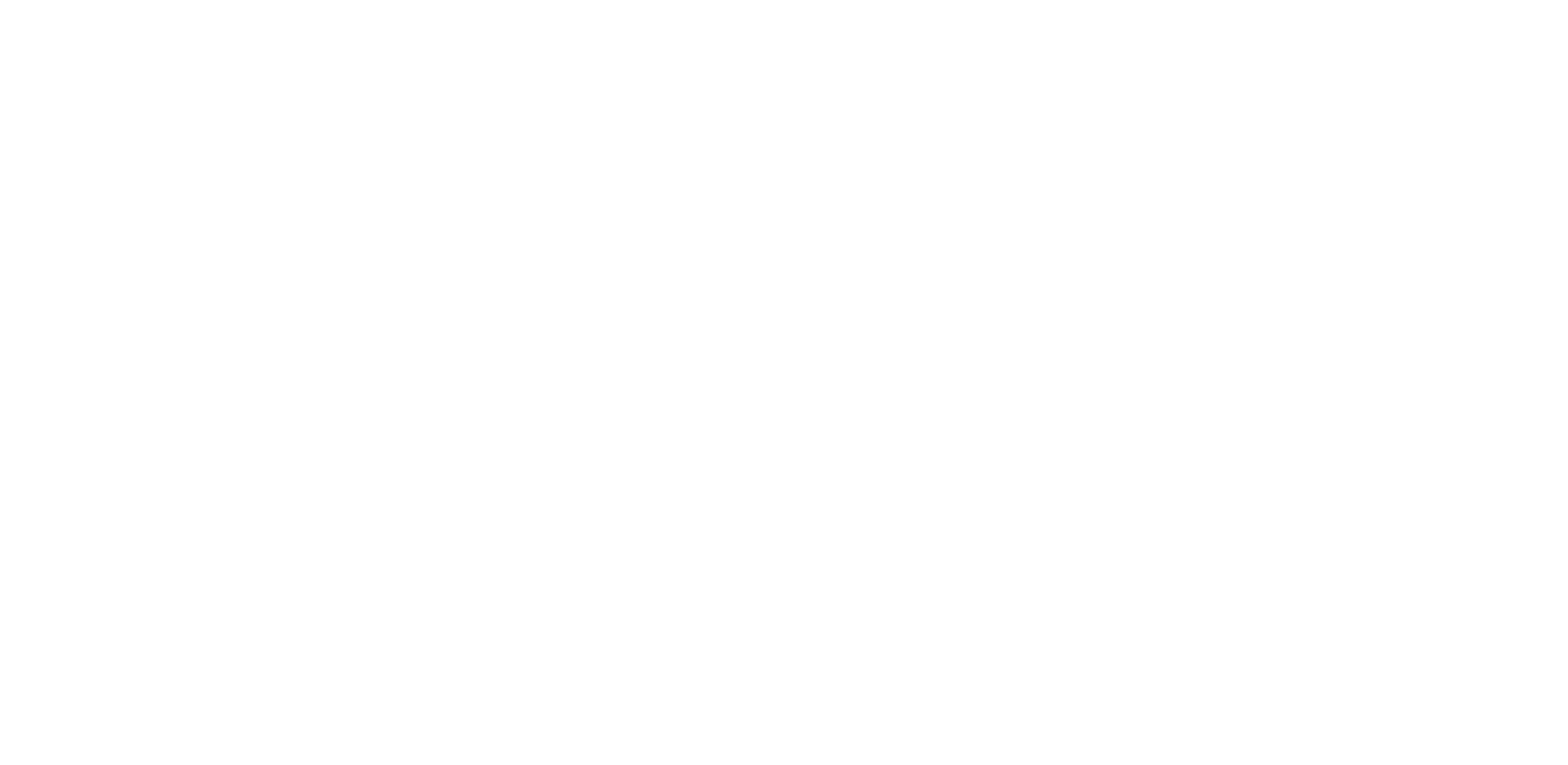 Chile Minerals
